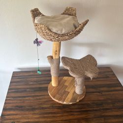 Cat Scratcher / Furniture 