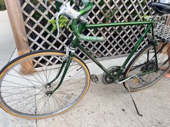 Orig Schwinn 1971