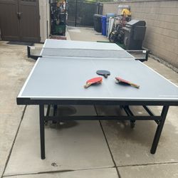 Ping Pong Table 