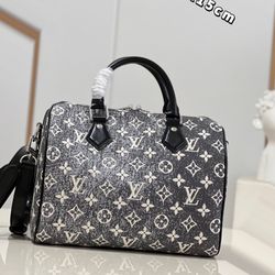 Speedy Chic Louis Vuitton Bag 