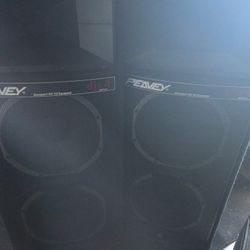 Peavey Scorpion rx22 ...x 2 