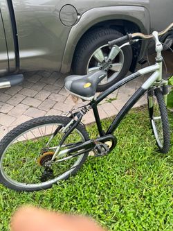 Margaritaville Bicycle