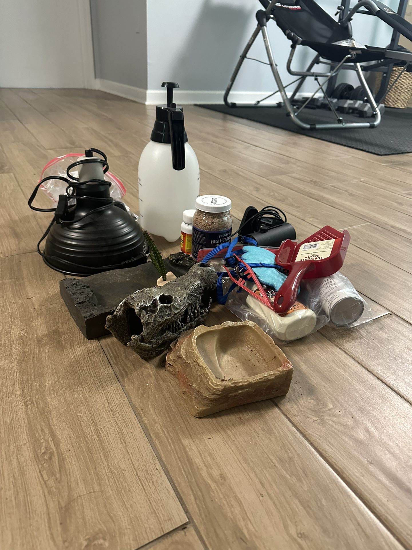 Lizard Tank Accessories Bundle