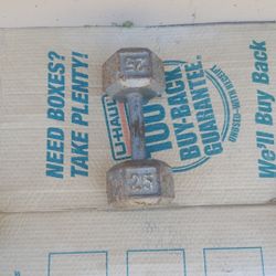 Single 25lb dumbbell