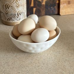 Fresh Batch Of Farm Eggs - Bowl Not Included 1 Dozen $7 