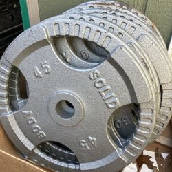 Body Solid Pairs Of 45 Lb Olympic Weight Plates