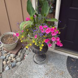 OutDoor Plant With Pots 