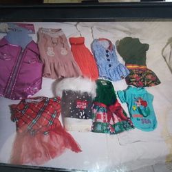 XS   Small DOG CLOTHES  $3 Each 