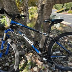 Giant Bike