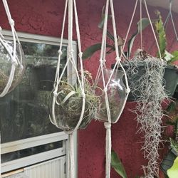 Macrame Hanging Plant Ropes 
