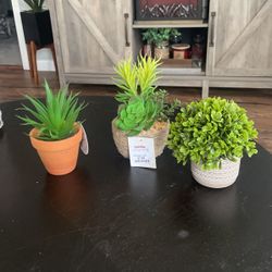 Decor Flower $5 Each 