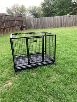 Cage medium size