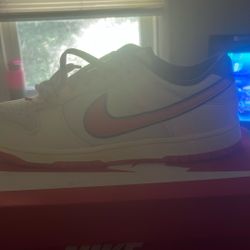 Nike Dunk Low Retro Se Looking For 130