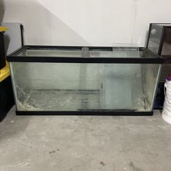 Fish Tank