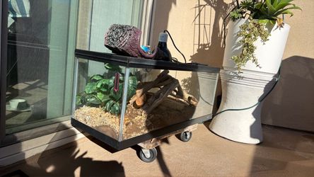 Reptile think complete with accessories