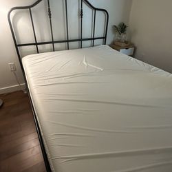 Green Tea Queen Zinus Foam Mattress