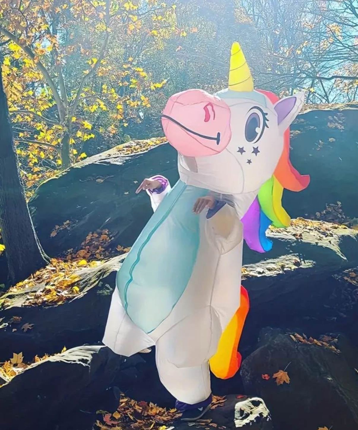 Inflatable Unicorn Costume