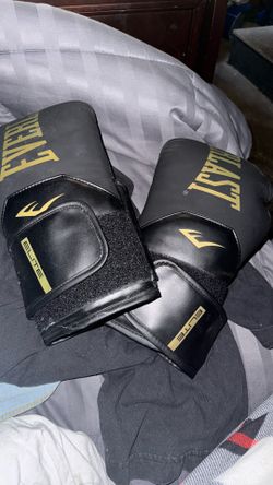 Everlast Elite 12 Ounce Gloves