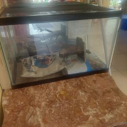 BRAND NEW 10 GALLON FISH TANK