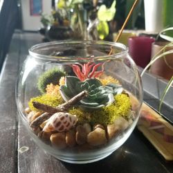 Flowers Succulents Arrangements