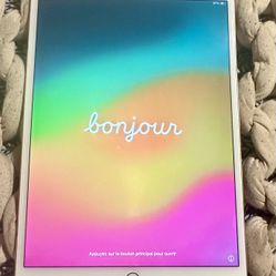 1st Gen 10.5 Inch iPad Pro PLUS Zagg & Case