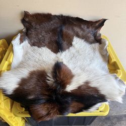 Large Goat Fur from Australia