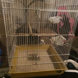 Bird Cage 22” High 