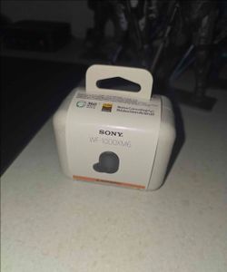 Sony WF-1000XM6 wireless earbuds or B/O