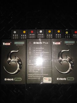 Evolve plus