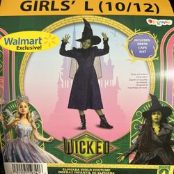 Wicked Elphaba Costume