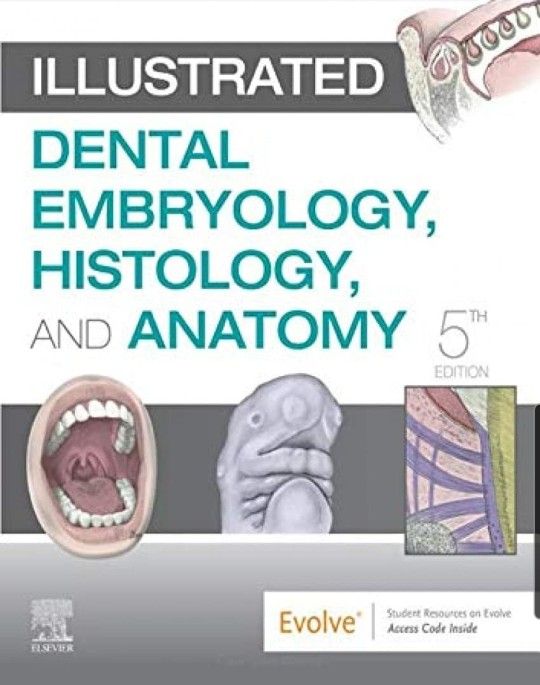 Illustrated Dental Embryology, Histology, and Anatomy