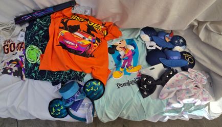 Disneyland shirt