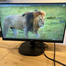 Philips 22 Inch Computer Monitor