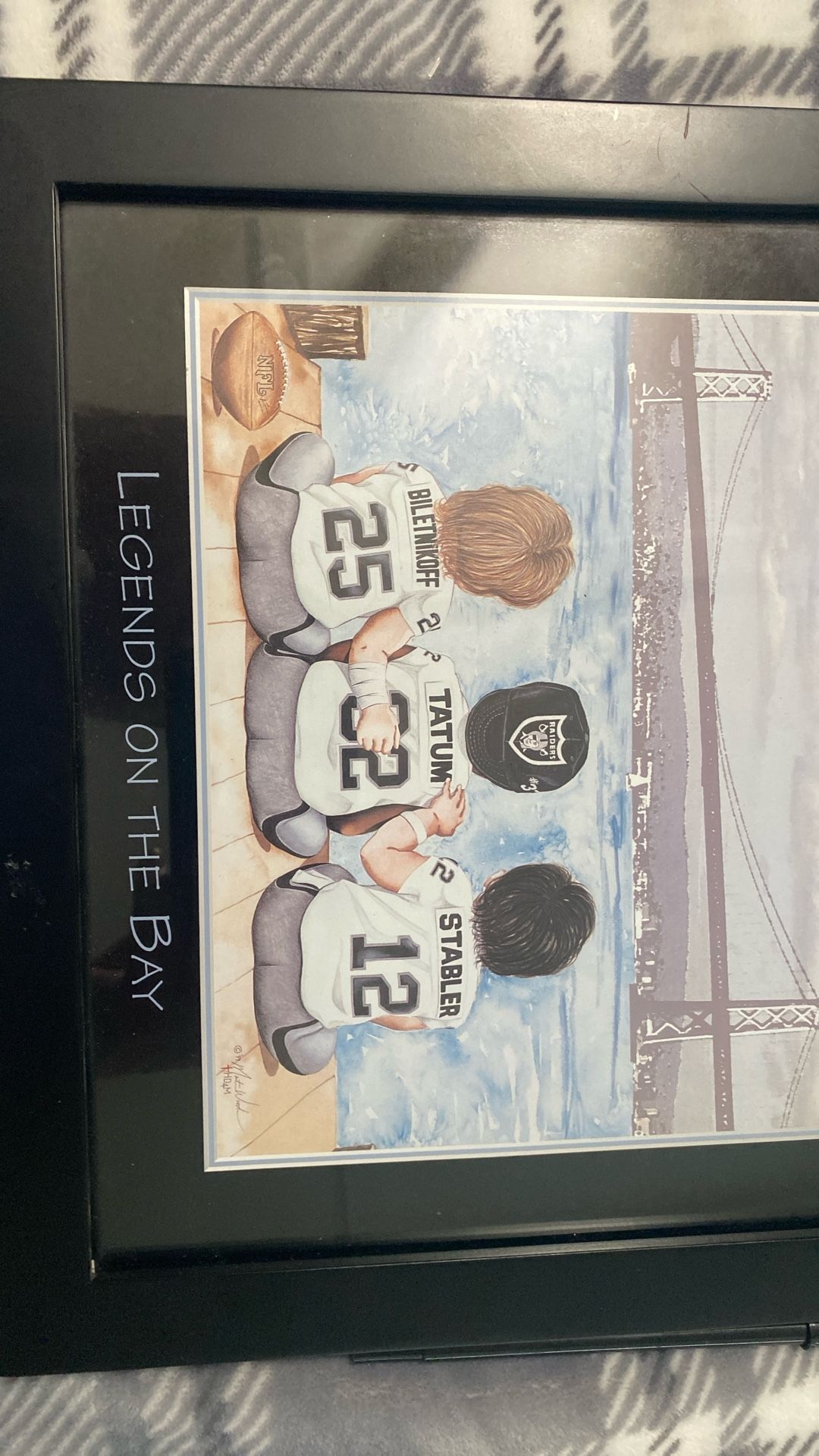 9 x 11 raider picture framed