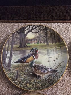 10 beautiful duck plates collector Mint condition