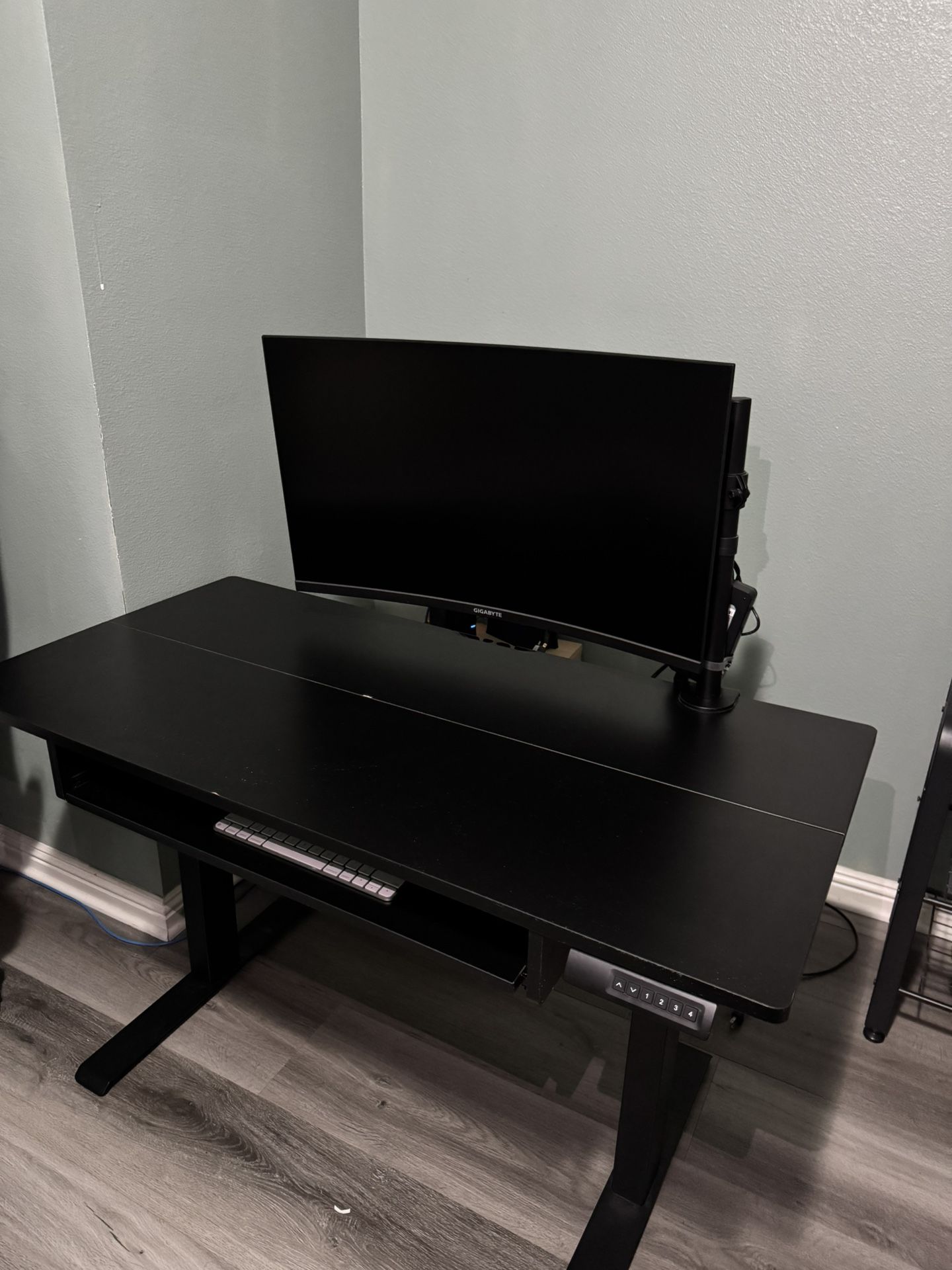 Gigabyte monitor