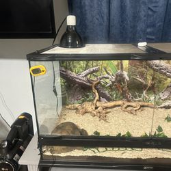 Snake Enclosure 