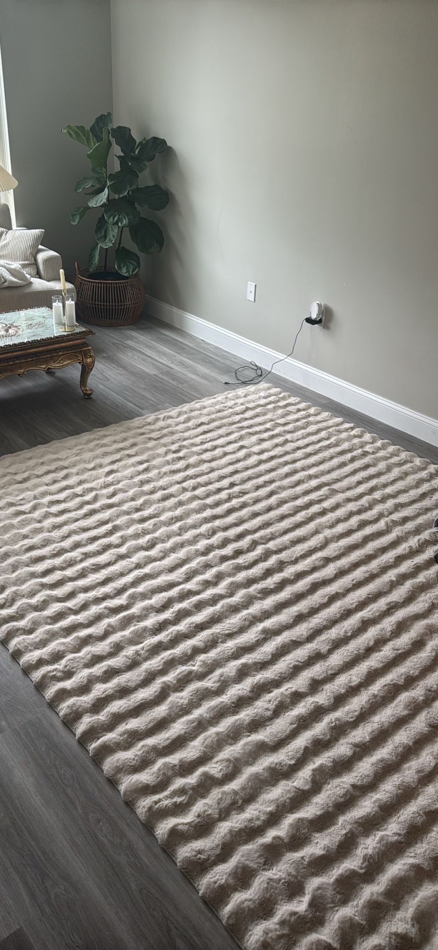 rug