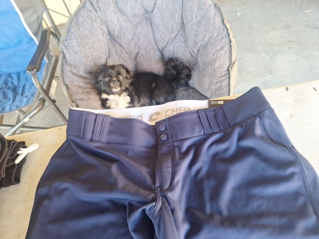 Softball Pants, Navy, WOMEN 2X