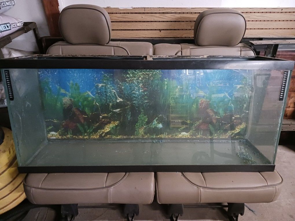 55 Gallon Fish Tank $80 O.B.O