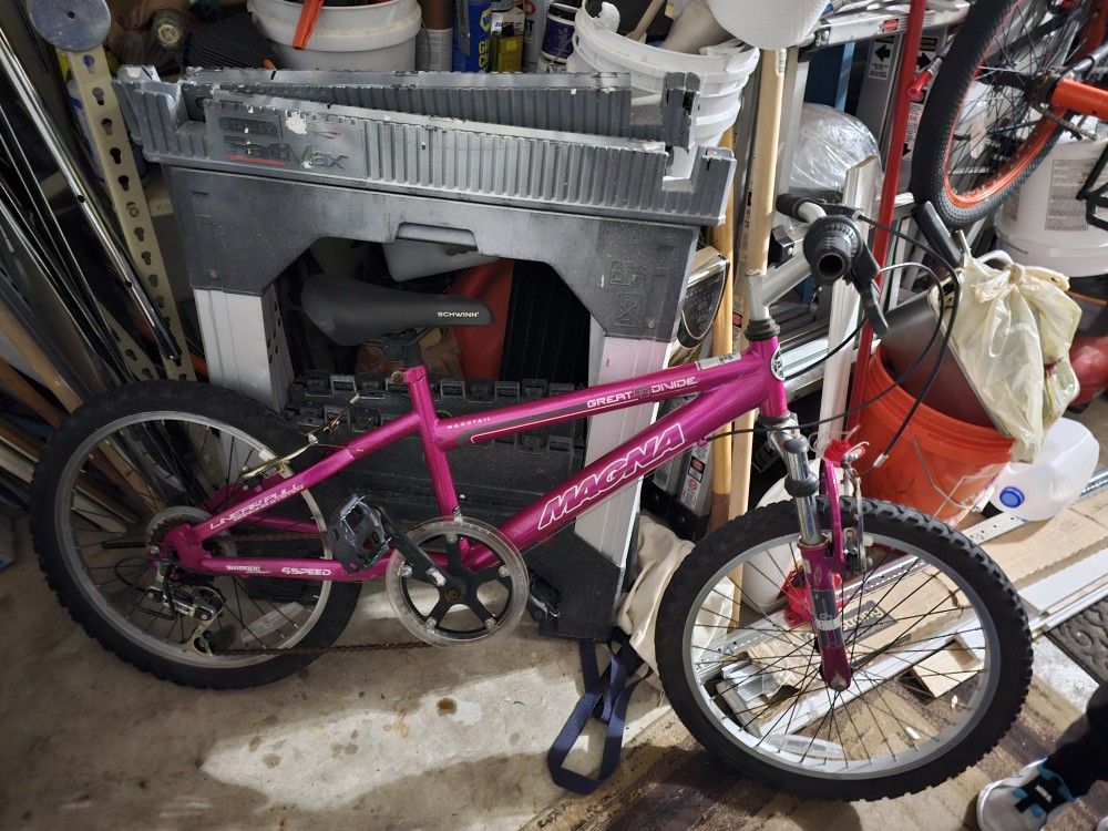 Girls Bike Great Condition Don't Need
