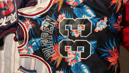 Scottie pippin hardwood classic jersey