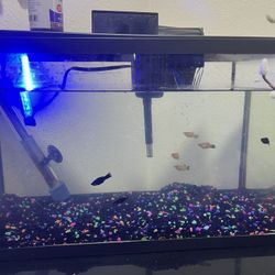 Fish Tank W/ Fish And Fish Food