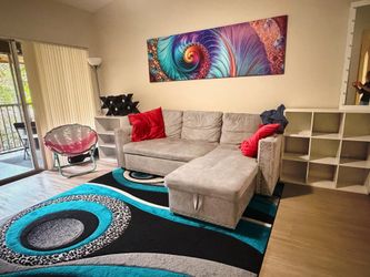 Modern Gray sleeper sectional couch