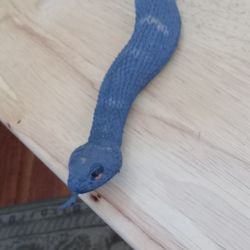 Rubber Snake Toy