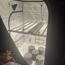Grow Set Up