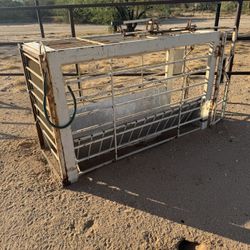 Roping Chute