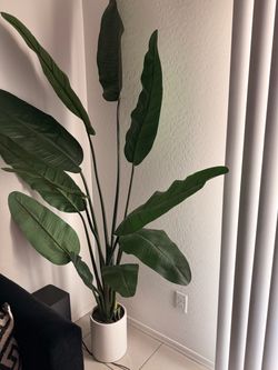 Fake indoor plant