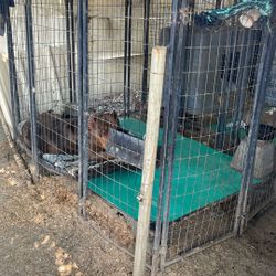 Kennel 