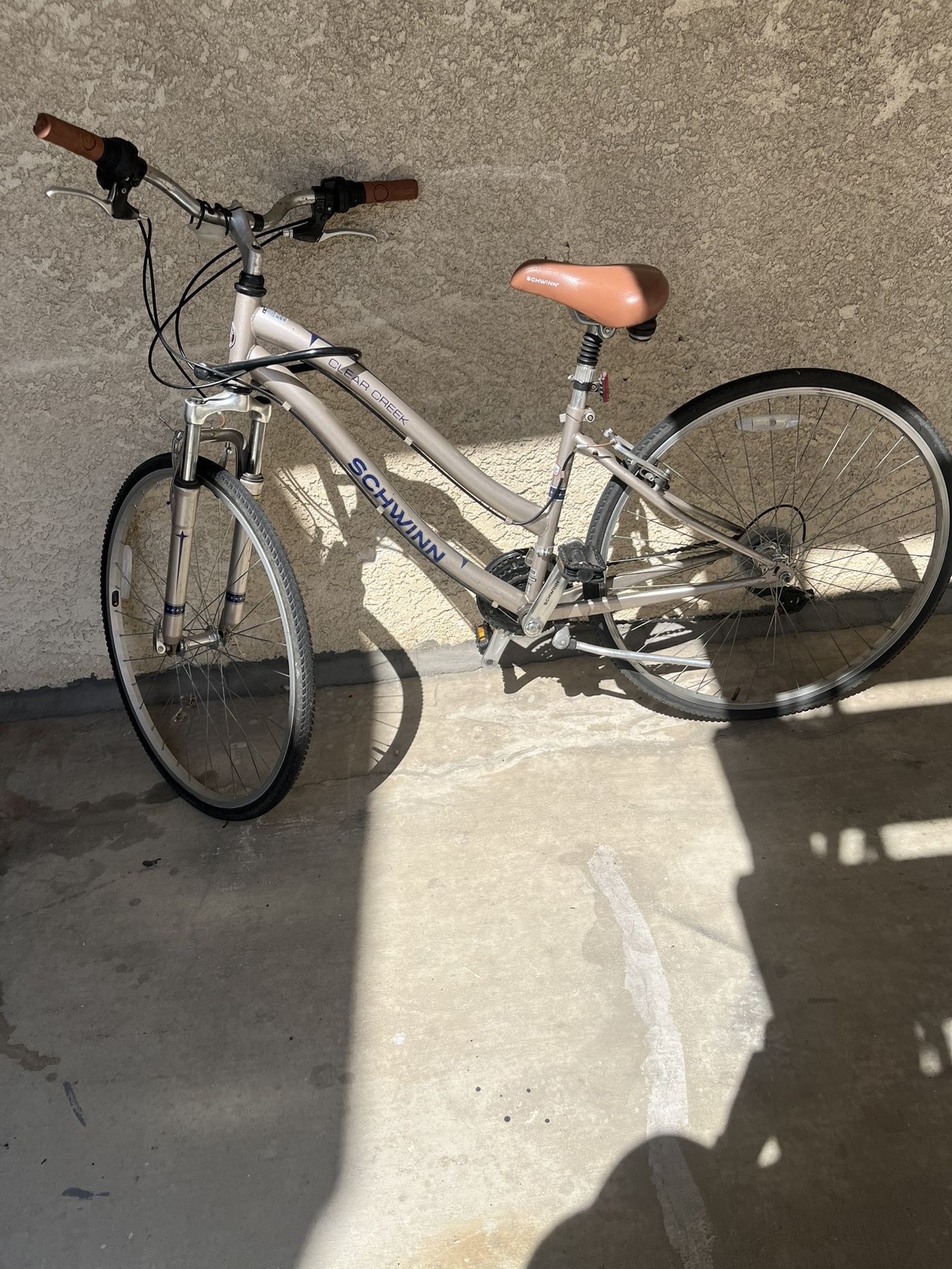 Schwinn Bike